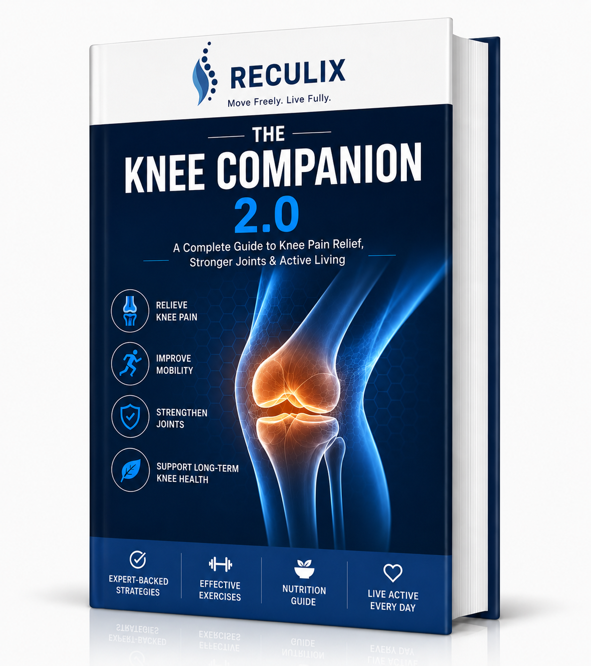 KNEE COMPANION