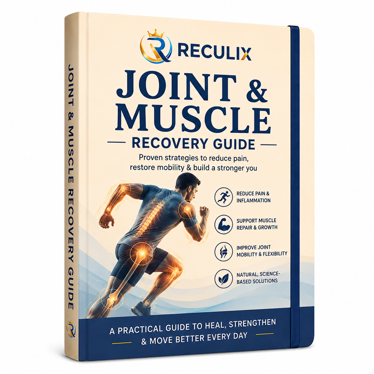 Joint & Muscle Recovery Guide